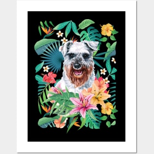 Tropical Salt and Pepper Schnauzer 1 Posters and Art